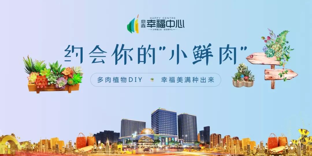 約會你的“小鮮肉” 多肉植物DIY，幸福美滿種出來