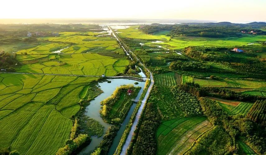 鄉村振興背景下，有機農業3.0時代的思考