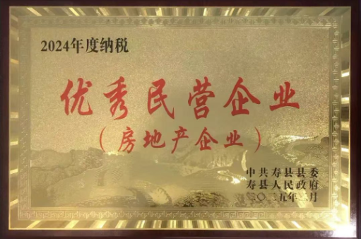 安徽鼎瑞置業有限公司榮獲2024年度納稅優秀民營企業稱號